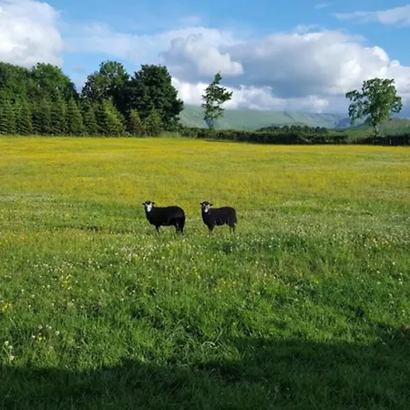 1 Bed In Ullswater 94068 *