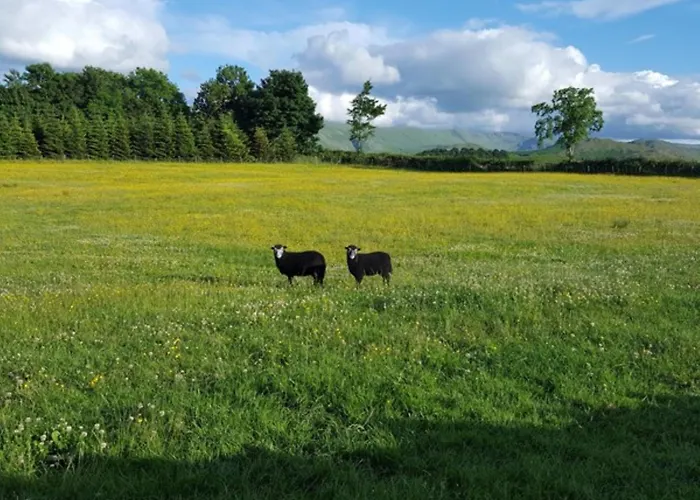 1 Bed In Penrith Oc-94068 *